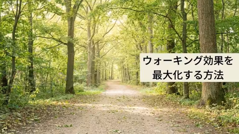 自然散歩-メンタルヘルス改善